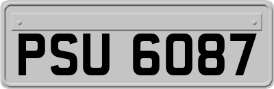 PSU6087