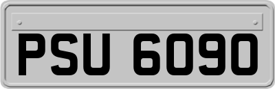 PSU6090