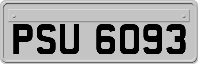 PSU6093