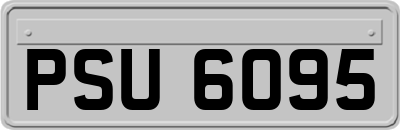 PSU6095