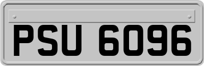 PSU6096