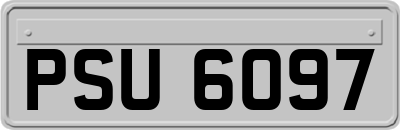 PSU6097