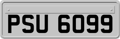 PSU6099