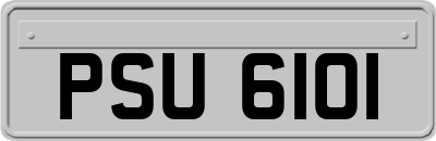 PSU6101