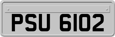 PSU6102