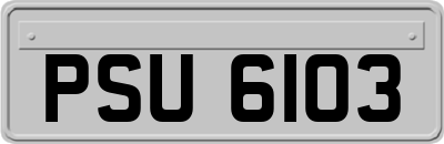 PSU6103