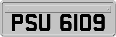 PSU6109