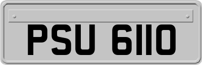 PSU6110