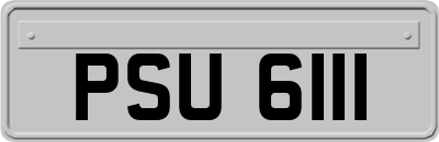 PSU6111