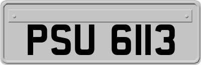 PSU6113