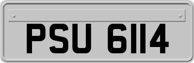 PSU6114