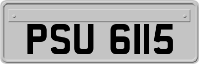 PSU6115