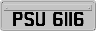 PSU6116