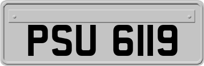 PSU6119