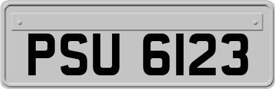 PSU6123