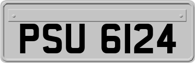 PSU6124