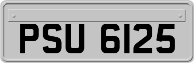 PSU6125