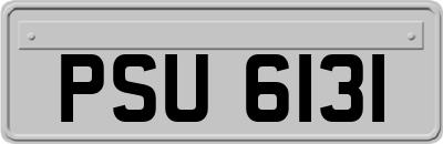 PSU6131