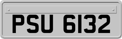 PSU6132