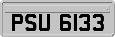 PSU6133