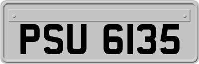 PSU6135