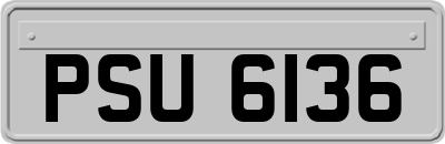 PSU6136