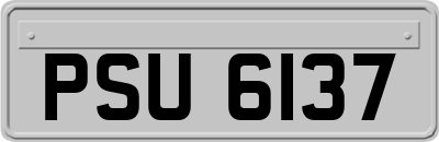 PSU6137