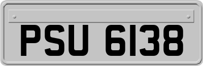 PSU6138