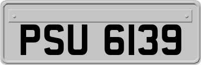 PSU6139