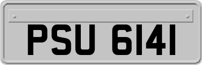 PSU6141