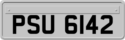 PSU6142