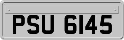 PSU6145