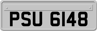 PSU6148