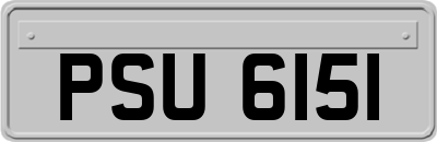 PSU6151