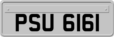 PSU6161