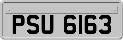 PSU6163