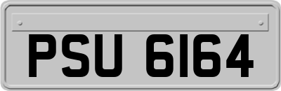 PSU6164