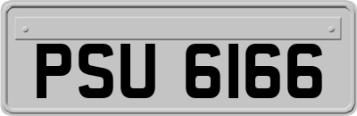 PSU6166