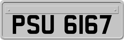 PSU6167