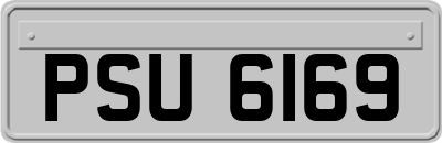 PSU6169