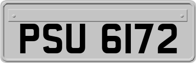 PSU6172