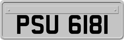 PSU6181