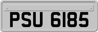 PSU6185