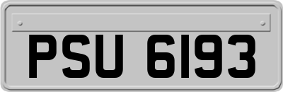 PSU6193