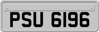 PSU6196
