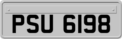 PSU6198