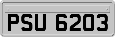 PSU6203