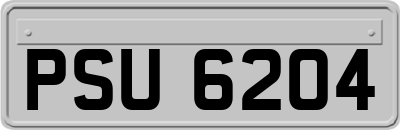 PSU6204