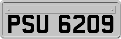 PSU6209