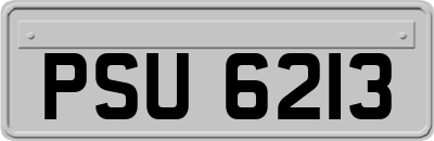 PSU6213